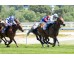  Carrera: P.Nertal Monta: V.Janacek Caballo: Tacarib Bay